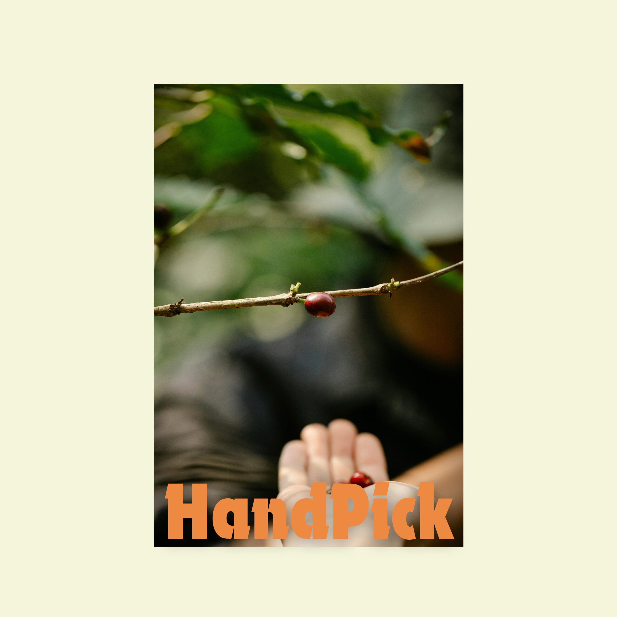 Handpick